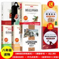 傅雷家书(名师精读版) 钢铁是怎样炼成的傅雷家书八年级课外书必读名人传平凡的世界苏菲