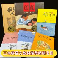三年级课外书必读 躲猫猫大王团圆三年级必读书籍 夏洛的网小学三