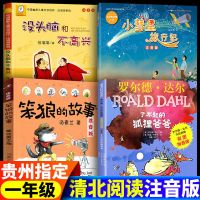 小彗星(平装) 全注音 小彗星旅行记 没头脑和不高兴笨狼的故事了不起的狐狸爸爸