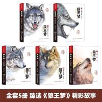 全5册 狼王梦正版全套5册沈石溪动物小说画本三四五六年级小学生课外书