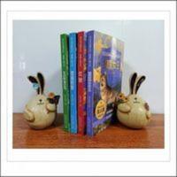 沈石溪动物小说 沈石溪动物小说全集感悟生命书系4册 狼国女王 五彩龙鸟 雪域豹影