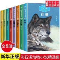图片色 沈石溪动物小说全集正版全套8册 沈石溪的书全系列 小学生三五六