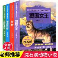 狼国女王 4册 正版 沈石溪动物小说全集感悟生命书系全套共4册狼国女王五彩龙鸟