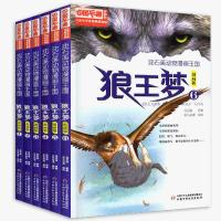 . 全6册沈石溪狼王梦漫画版动物大王国小说沈石溪的书小学生课外书