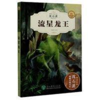 流星龙王 流星龙王沈石溪动物小说正版书 中小学生课外书三四五六年级阅读