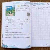 二年级上册看图写话 小学生二年级上册看图写话部编人教版课堂同步阅读理解专项训练本