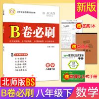 八年级上册 2021版B卷必刷八年级上下册数学北师大版BS版初中数学B卷必刷题卷