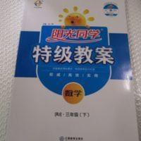 数学(附光盘3下RJ)/阳光同学特级教案 2019阳光同学特级教案数学三年级下册(附光盘)教学Z91