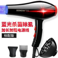 德系《9500大风力》标配 宠物吹风机大功率猫咪狗狗洗澡吹毛神器泰迪大小型犬烘干机吹水机