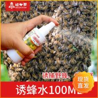 喷雾型-招蜂水[100ml] 单瓶超优惠[买就送蜂蜡王笼刷子] 招蜂水野外野蜂诱蜂水引蜂水收蜂水诱蜂液收捕野蜜蜂王信息素