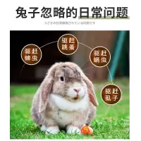 兔子驱虫体外除虫喷雾专用杀跳蚤蜱虫虱子除螨虫杀虫剂兔子用品