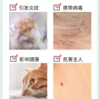 灰色 猫除蚤项圈 猫咪除蚤项圈宠物驱蚊防虫项圈狗狗体外驱虫狗狗除跳蚤圈宠物用品