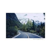 嵐5219电影胶卷500高感光電影卷藍冷色調憂鬱燈光彩負135柯达ECN2