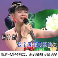 8GU盘12大+闽南歌+女团+MP3 车载U盘 经典十二大台语MP3海底城歌唱秀闽南语歌曲MP4视频内存卡