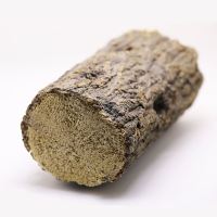 偏软产木 甲虫产木 彩虹锹甲成虫产卵繁殖产房发酵木屑独角仙中大扁巨扁锹