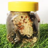 老巢蜜100克试吃 5年老巢蜂巢蜜500克农家老巢蜂巢蜜蜂窝嚼着吃的蜂蜜老巢蜜100g