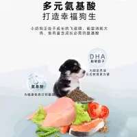 中大型犬幼犬奶糕粮2斤装 汪爸爸离乳期幼犬奶糕粮大型小型犬泰迪比熊金毛柯基天然哺乳狗粮