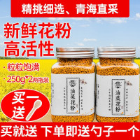 2021青海油菜花粉前列腺 人吃食用天然花粉 茶花粉荷花粉蜜蜂花粉