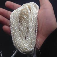 DIY半成品白色 2-3mm 2-3mm小米粒型米形珍珠项链手链锁骨链DIY半成品可挂吊坠强光秀气