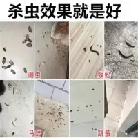 驱虫粉跳户外灭绝死除虫菊酯潮虫杀室内人要蛐蛐专杀蟑螂杀虫粉