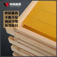 中蜂成品巢框带巢础巢基蜂脾蜜蜂巢框架养蜜蜂工具10个装