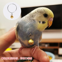 虎皮脖套(送铃铛)无链-Z4W 鹦鹉放飞溜鸟绳小型鸟用脖绳 脖套 鹦鹉脚环链 画眉黄鹂蜡嘴伯劳