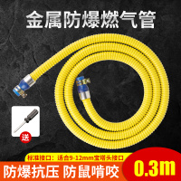 0.3米铠装燃气管[带卡箍双插] 送螺丝刀 家用铠装燃气管液化煤气管天然气管热水器连接管灶具金属软管防爆