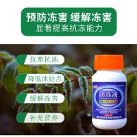 防冻液100克 bloombag绿植盆栽花卉抗晒防虫鸟罩花木树苗过冬植物防冻保温罩袋