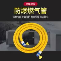 0.6米铠装燃气管 (插口+插口) 家用煤气管天然气燃气管液化气专用管金属防爆铠甲软管煤气灶连接