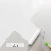 500g净味环保乳胶漆(送工具)白 色 其他 水性乳胶漆涂料白色内墙油漆涂料墙面漆刷墙涂料墙漆室内晟阳水漆