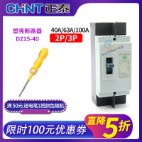 40A 2P CHNT正泰单三 相塑壳断路器空气开关空开DZ15-40 100/290 390 63