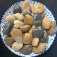 50斤 普通五彩2~4cm 50斤鹅卵石铺路铺地庭院花园造景天然大小石头雨花石原石鹅软暖石