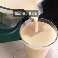 三种各100克试用 豆浆伴侣香精特浓食用商用现磨增香剂增稠去沫消泡剂风味剂瑞咖