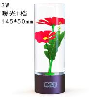 舞兰菊-红 暖光1档(不可调光) 小夜灯床头灯房间护眼节能省电7彩9档调光插电植物发光厂家直供