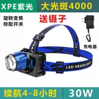 紫光[标配]送镊子+直充 led感应头灯强光可充电紫光蝎子灯捕蝎灯专用超亮头戴式夜钓鱼灯