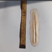 1号图片 擦伤防水纹身贴女伤痕请假用假伤疤男万圣节仿真持久受伤疤痕贴