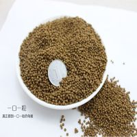 龟粮100克(透明袋) 乌龟缸带晒台水陆饲养箱小鱼缸别墅家用塑料养龟的专用缸造景龟盆