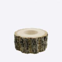 栎木果冻台 爬虫栎木食台单孔甲虫果冻台昆虫栎木食台独角仙成虫造景锹甲食物