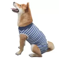 蓝白条纹色 XL 22-35斤 狗狗衣服全包肚子四脚母狗衣服防公狗乱尿狗狗绝育手术护理服断奶