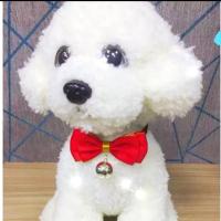 红色 XS-适[合2斤内可调节] 宠物狗狗绅士领带领结泰迪英短蝴蝶结幼猫咪铃铛项圈挂牌项链饰品