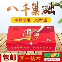 03八千中蜂巢础(送清木片1包) 八千巢础中蜂蜜蜂蜂蜡巢脾意蜂深房巢础中峰巢皮蜡片意峰养蜂工具