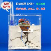 蘑菇森林H+3后200工+蚁_w 蚂蚁工坊 部落 沙丘Z 沙堡 城堡 配产卵蚁后群