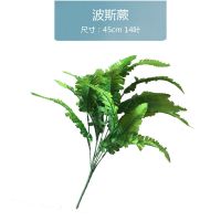 波斯蕨 陆龟蜥蜴蛇刺猬仓鼠造景仿真植物爬宠箱造景用具复活节玛雅人像