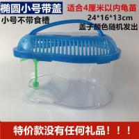 小号带盖裸缸不送礼品不送乌龟 乌龟缸 送2只小乌龟巴西龟乌龟缸带晒台多规格龟盆宠物盒儿童礼物