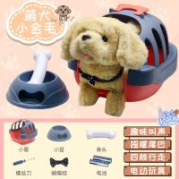 大号金毛犬[笼子+食盆+骨头] 小盒装[实惠 推荐] 电动毛绒玩具可爱仿真益智儿童玩具会走路会叫小狗小兔生日礼物