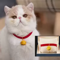 红色 买二送一可挑款 S 宠物猫咪项圈幼猫项链挂饰小型犬小猫颈圈脖子装饰品狗狗铃铛脖圈