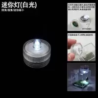 迷你灯 跳蛛饲养盒鸣虫生态盒蝈蝈叫罐竹蛉螳螂电报蛉蜘蛛昆虫加湿生态盒