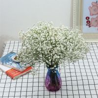 白色满天星 不带花瓶 云南满天星干花花束超大束真花插花情人节客厅摆设装饰摆件带花瓶