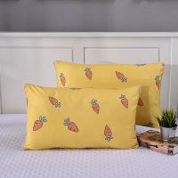 萝卜兔 抗菌防螨枕头芯1个[没有枕套] 学生枕头可爱少女心宿舍枕头枕芯一对成人家用情侣护颈椎软枕头芯