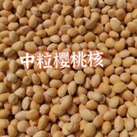 中粒5斤 5斤中小粒樱桃核散装颈椎枕头填充物儿童按摩硬枕芯热敷